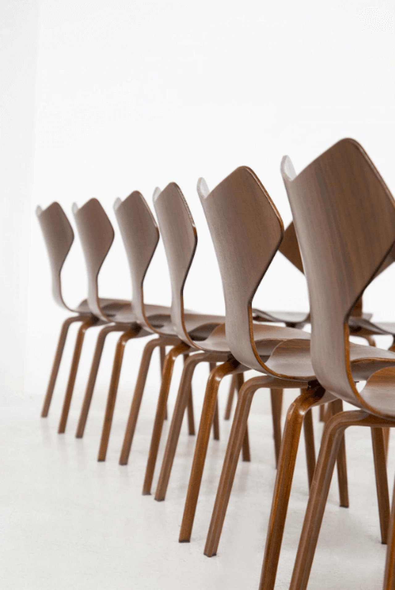 12 Sedie Gran Prix in legno, di Arne Jacobsen, anni '50 7