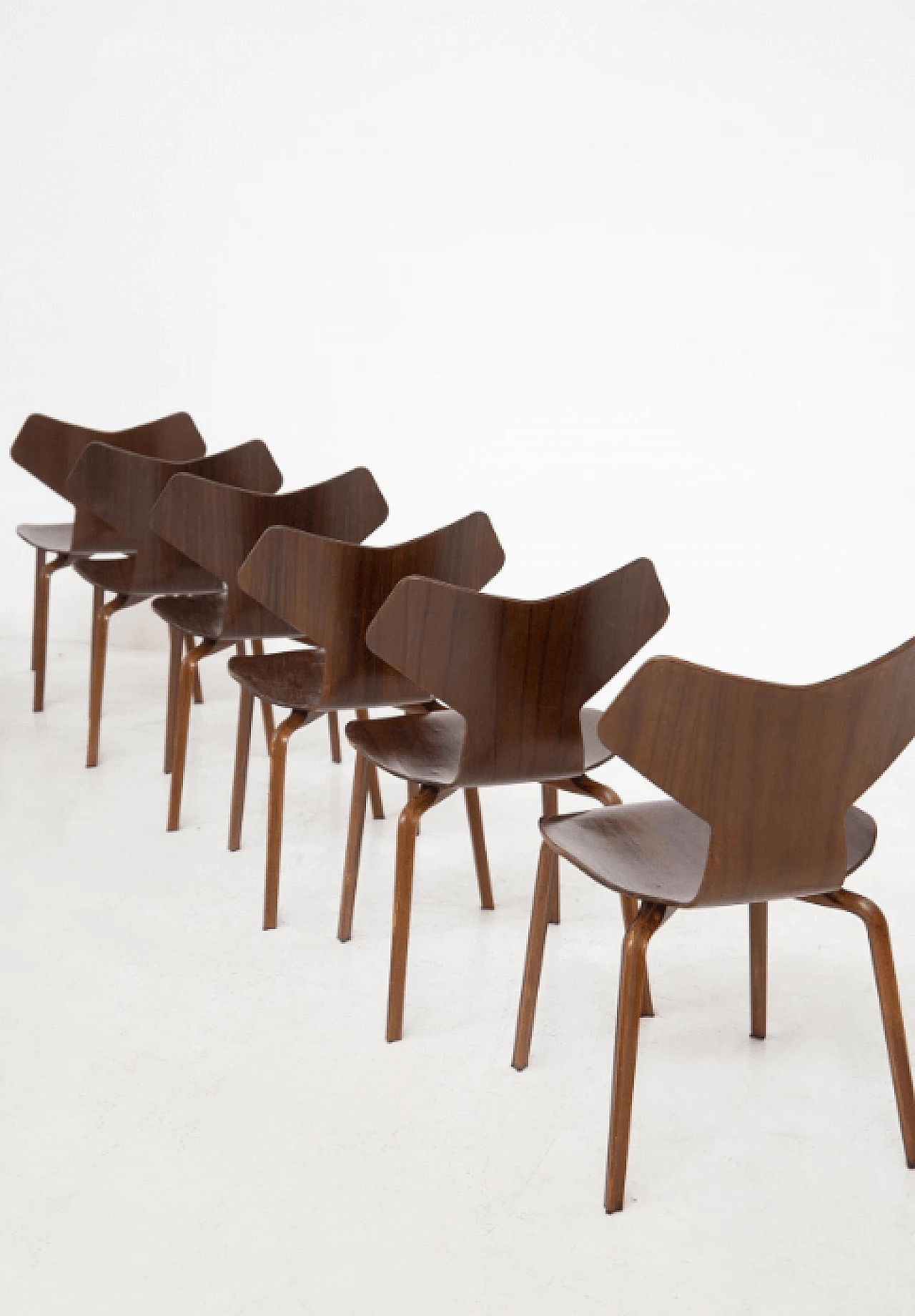 12 Sedie Gran Prix in legno, di Arne Jacobsen, anni '50 9