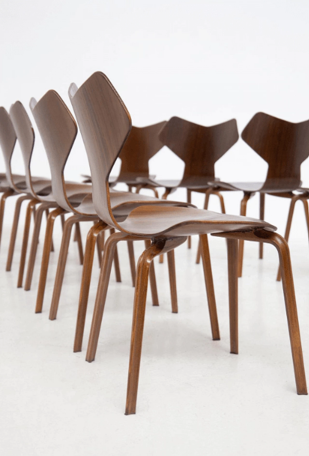 12 Sedie Gran Prix in legno, di Arne Jacobsen, anni '50 14