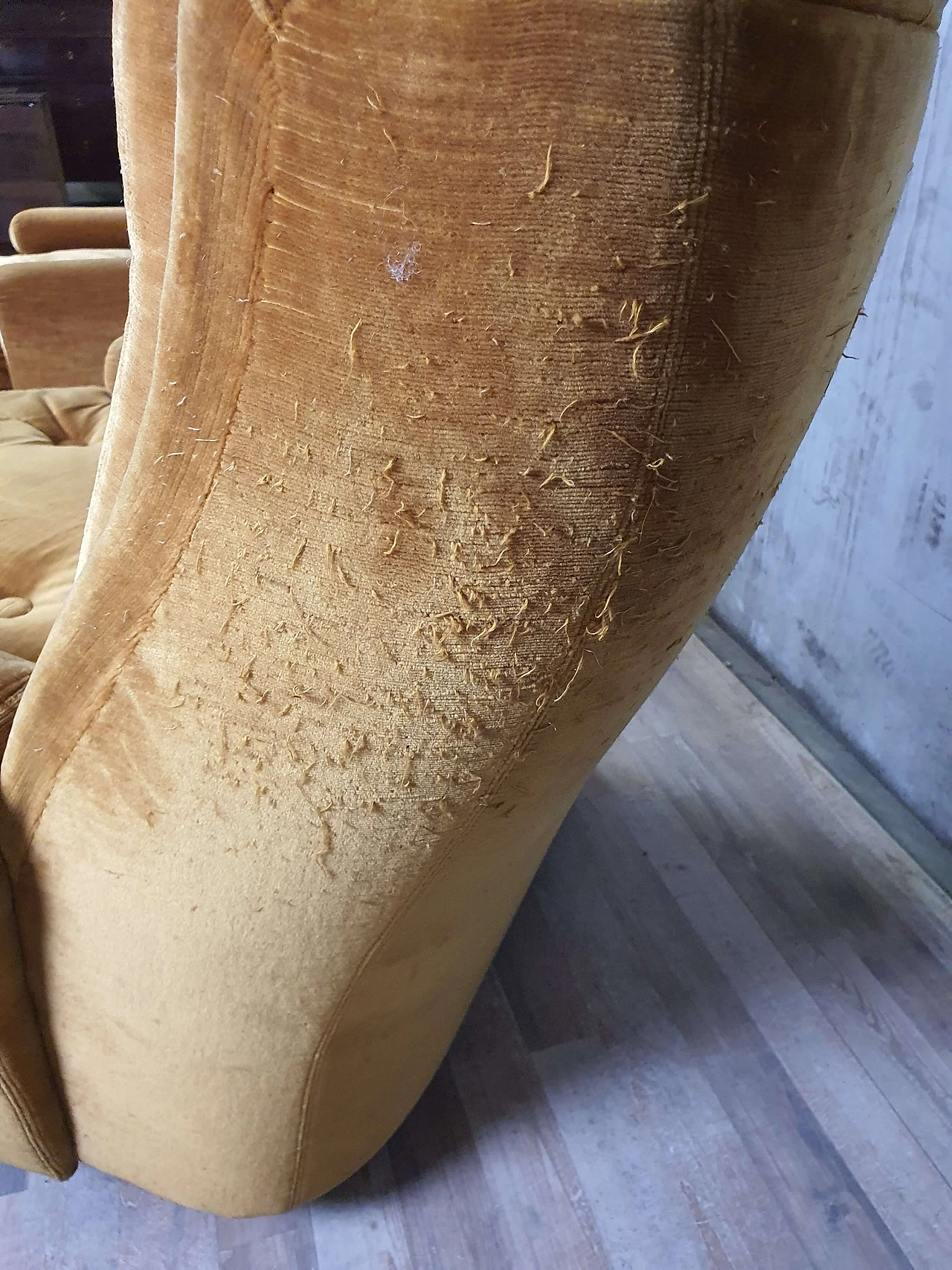 Pair of armchairs model P44 branded Astor, 1960s 21