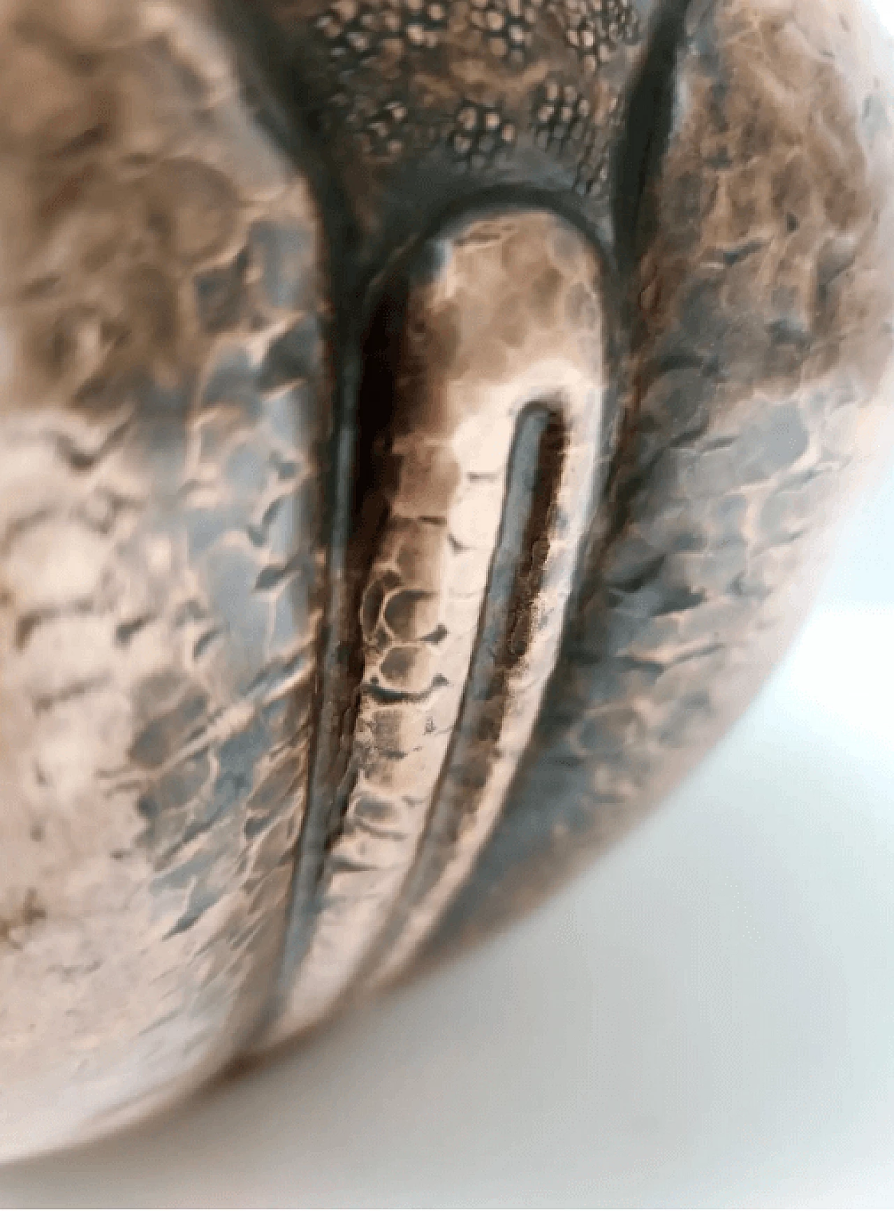 Cachepot in rame sbalzato di Egidio Casagrande, anni '50 9