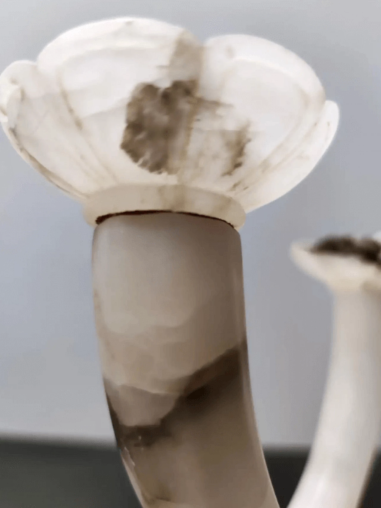 Pair of alabaster and onyx candelabra attributed to Tomaso Buzzi, 1940s 10