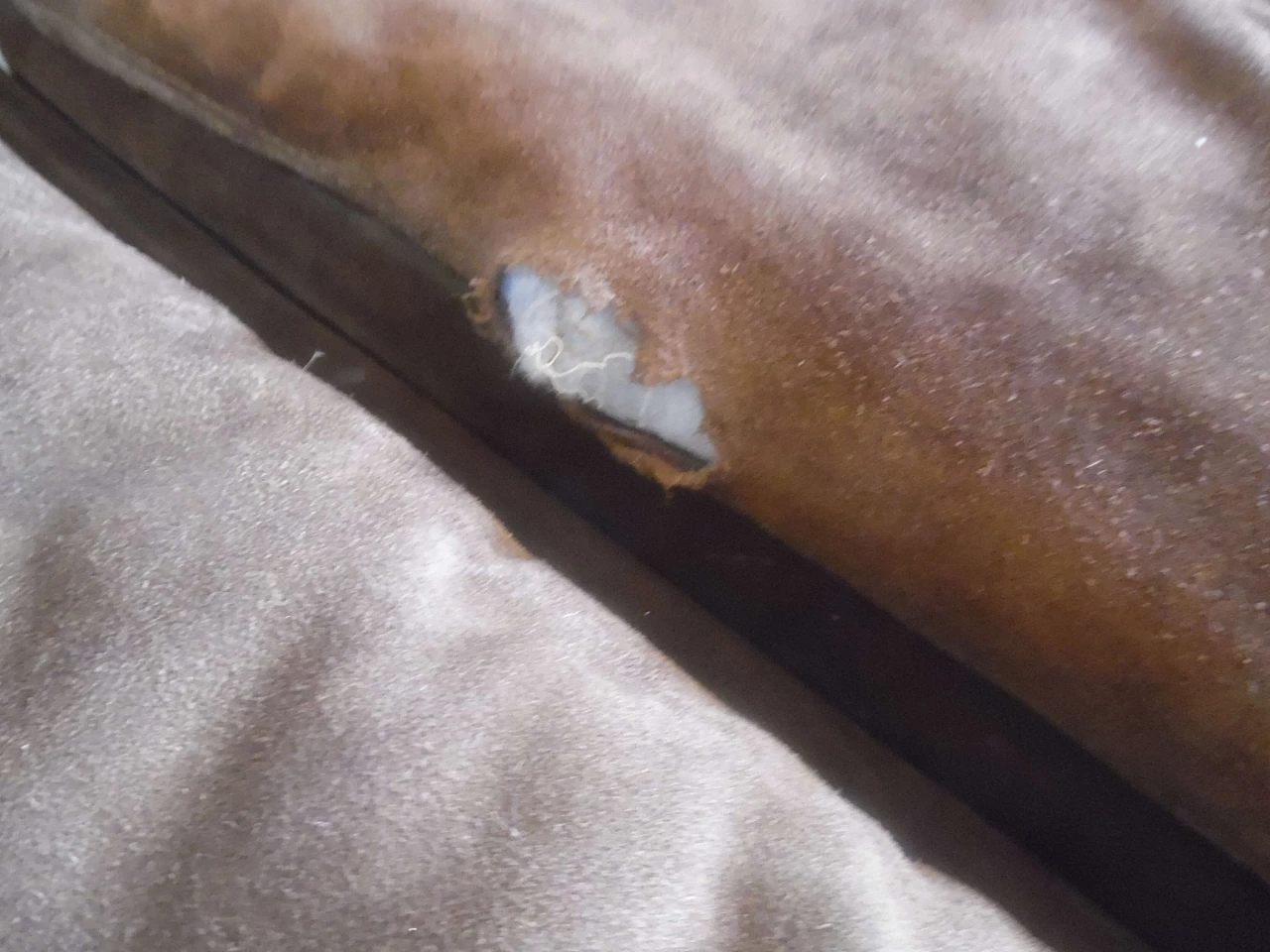 Paione modular sofa by Claudio Salocchi for Sormani, 1960s 5