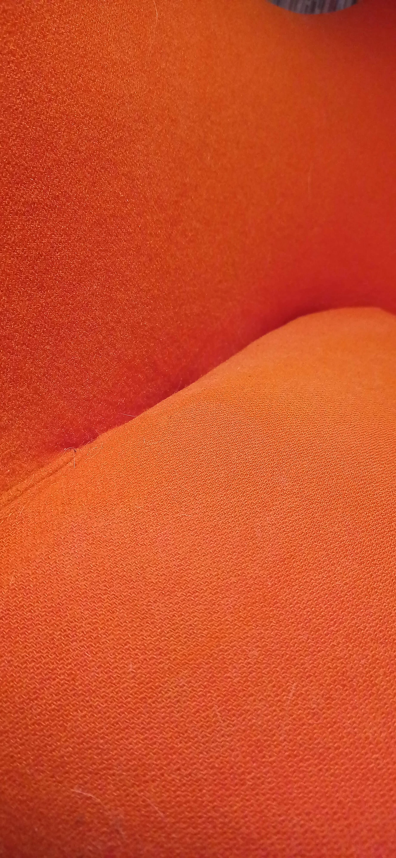 Pair of Bali armchairs by Carlo Colombo in orange fabric, 2000s 17