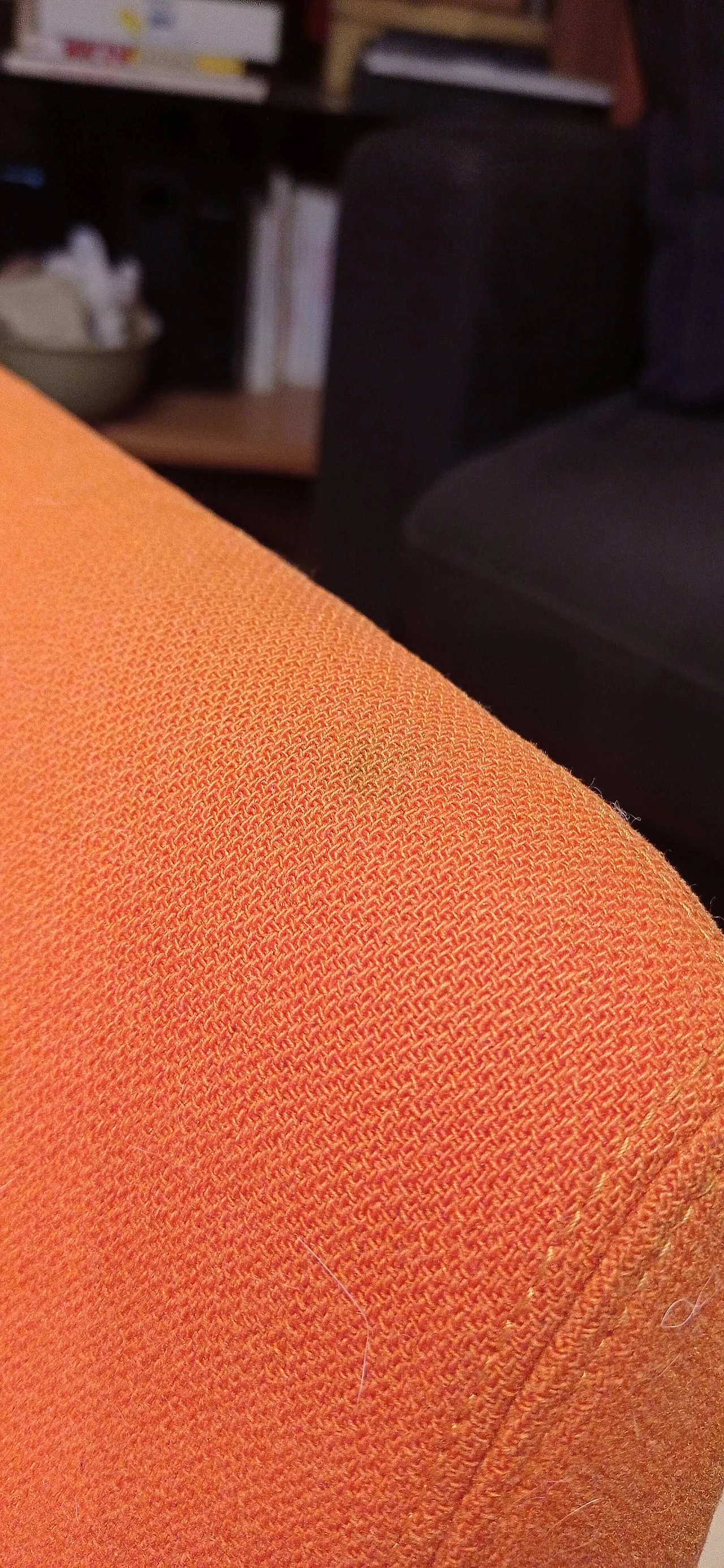 Pair of Bali armchairs by Carlo Colombo in orange fabric, 2000s 23