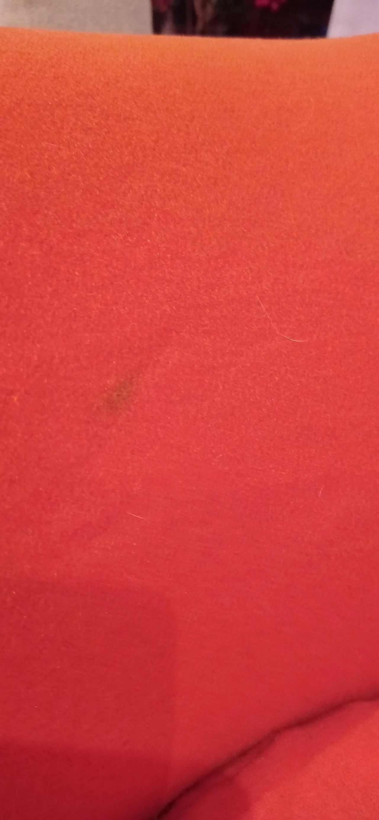 Pair of Bali armchairs by Carlo Colombo in orange fabric, 2000s 36