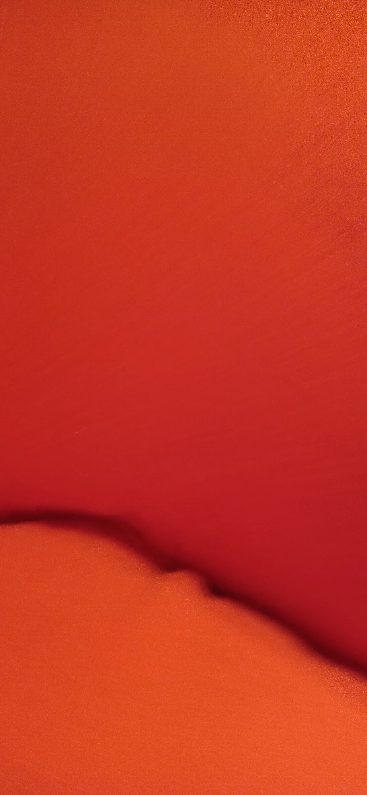 Pair of Bali armchairs by Carlo Colombo in orange fabric, 2000s 37