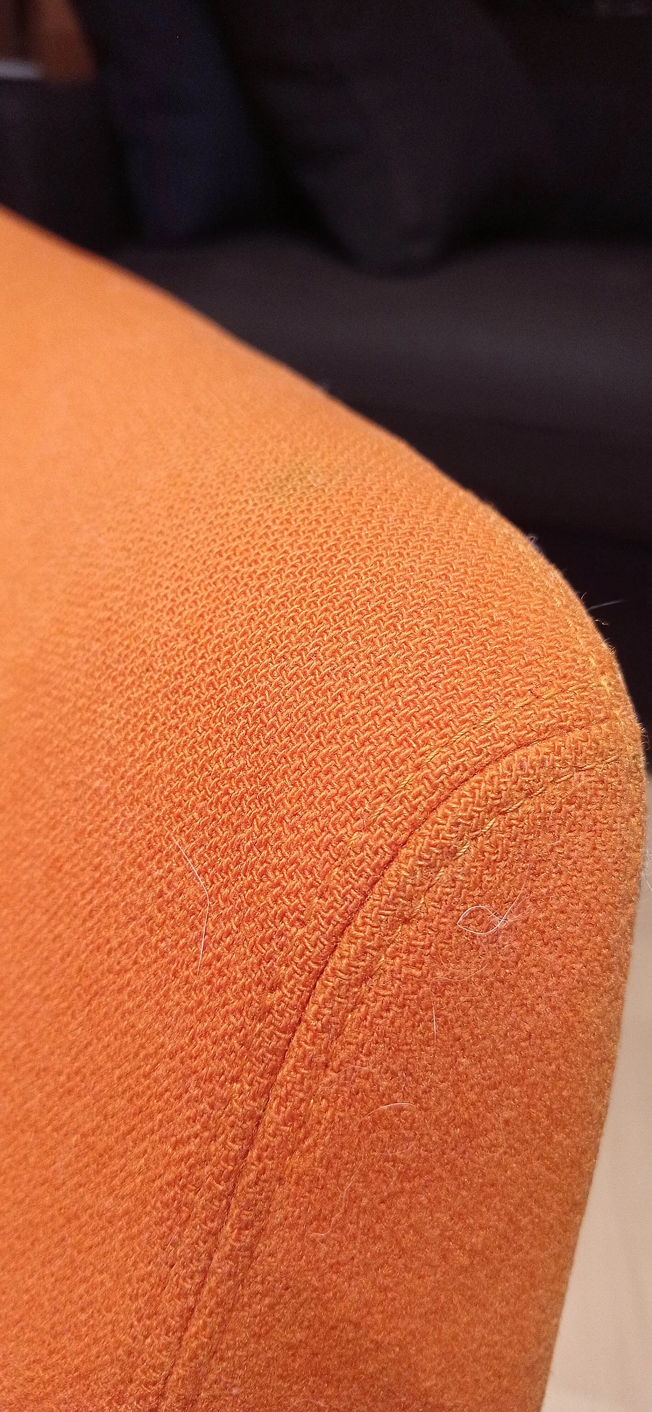 Pair of Bali armchairs by Carlo Colombo in orange fabric, 2000s 83