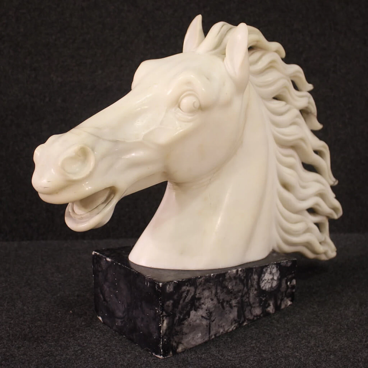 Horse head, white marble sculpture on black marble base 1