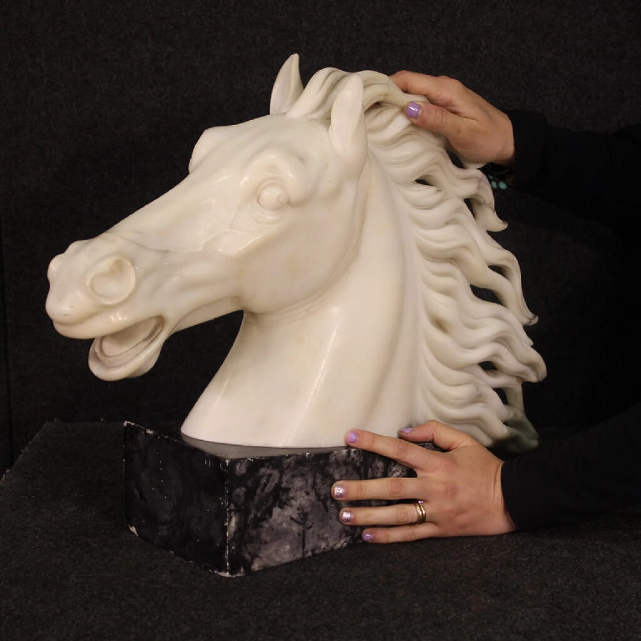 Horse head, white marble sculpture on black marble base 2