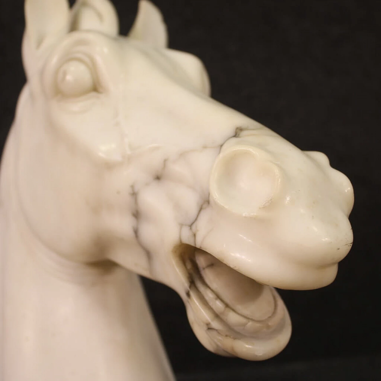 Horse head, white marble sculpture on black marble base 3
