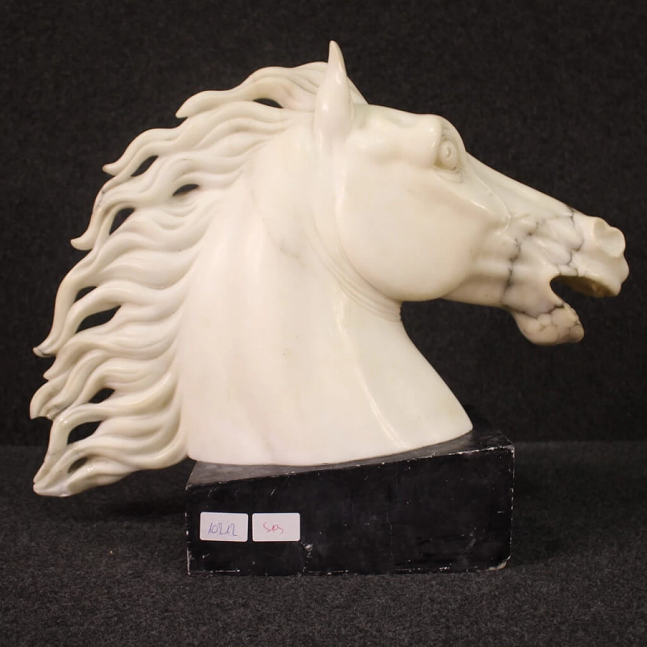 Horse head, white marble sculpture on black marble base 4