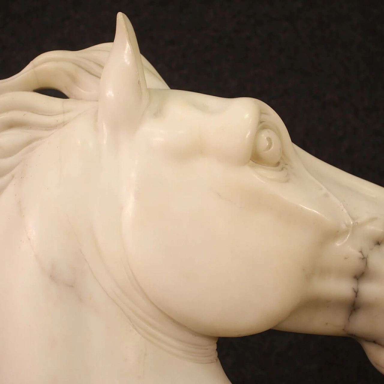 Horse head, white marble sculpture on black marble base 5