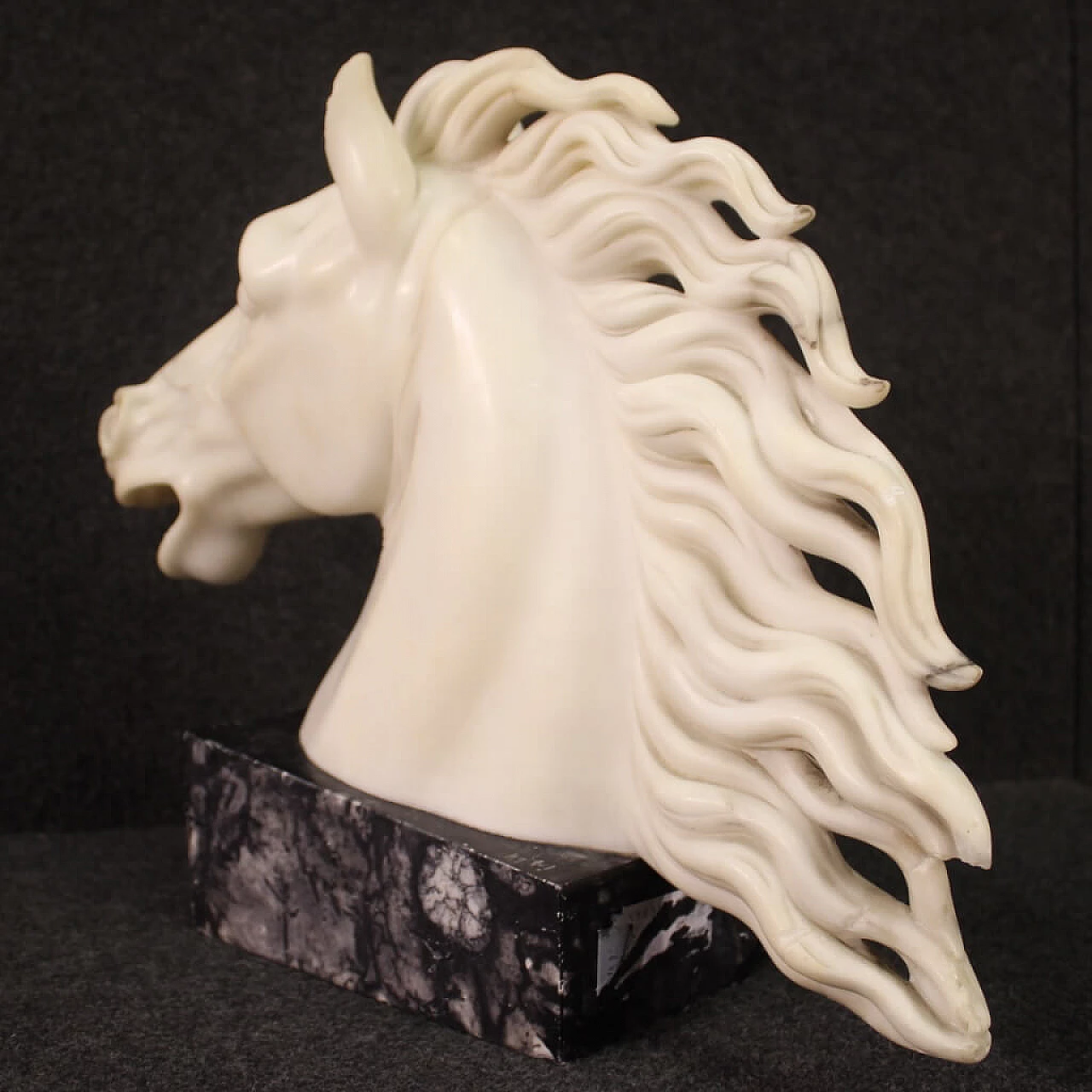 Horse head, white marble sculpture on black marble base 7