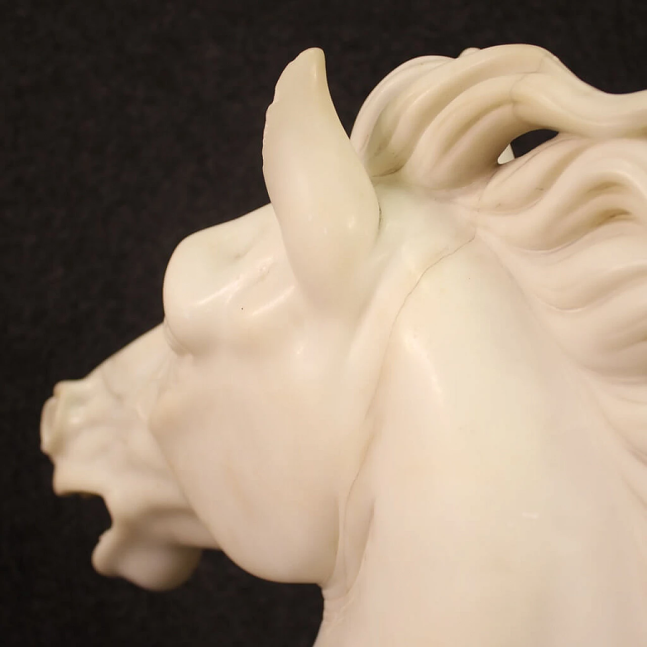 Horse head, white marble sculpture on black marble base 8
