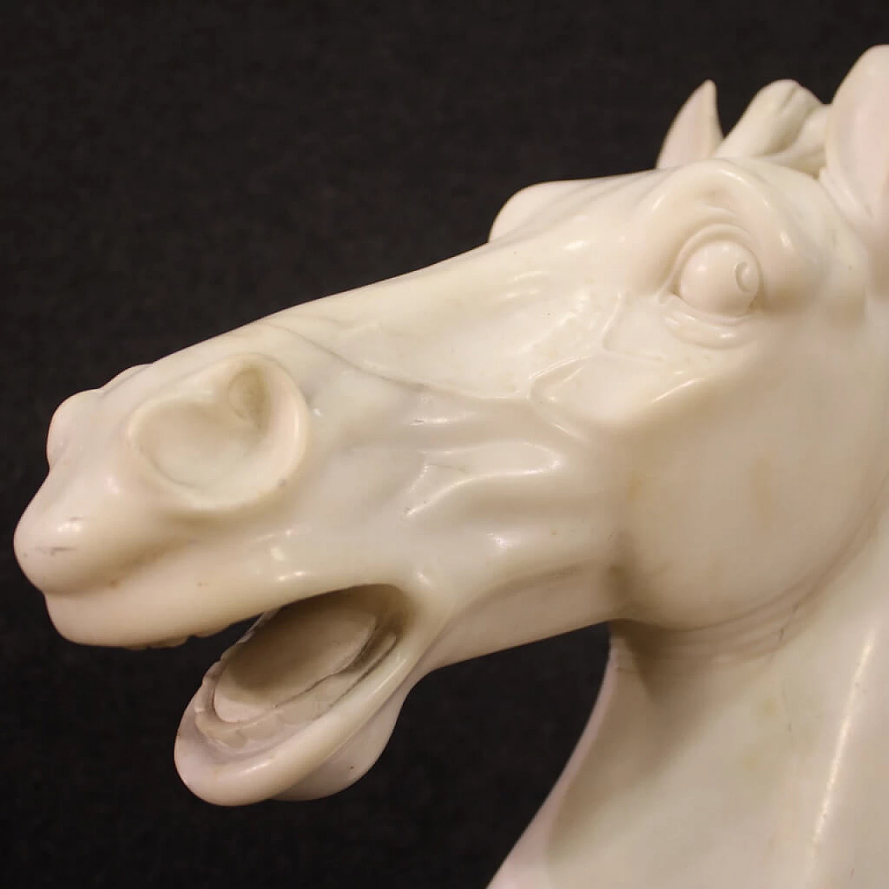 Horse head, white marble sculpture on black marble base 9