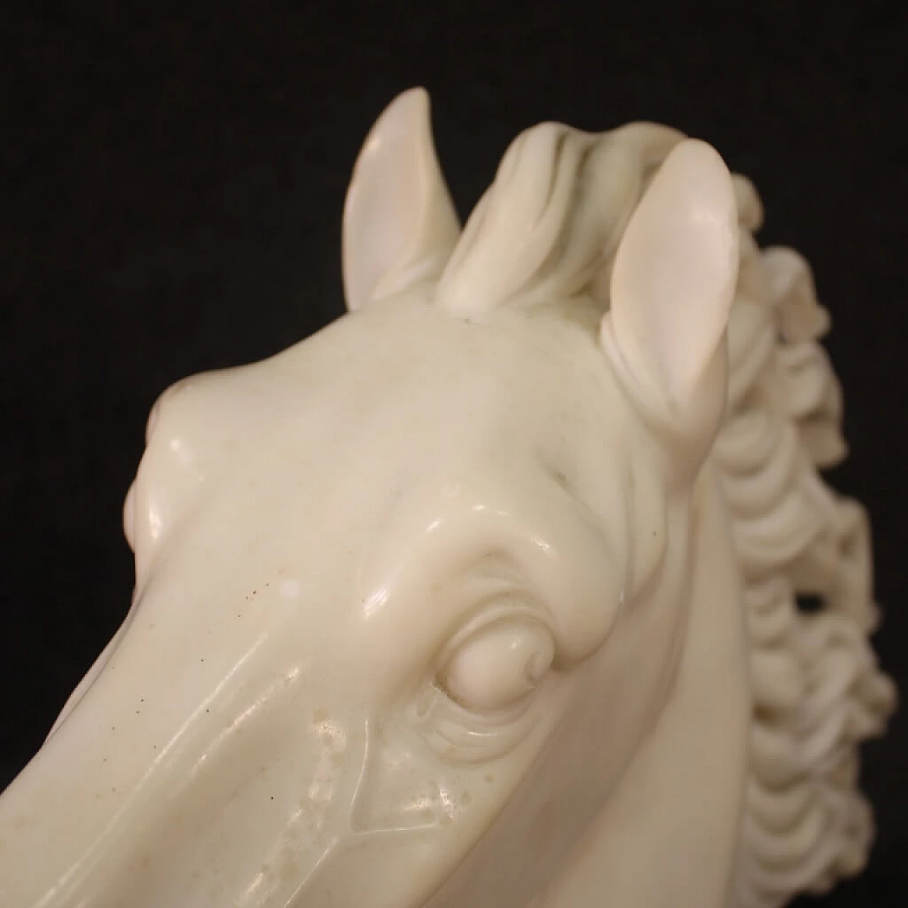 Horse head, white marble sculpture on black marble base 10