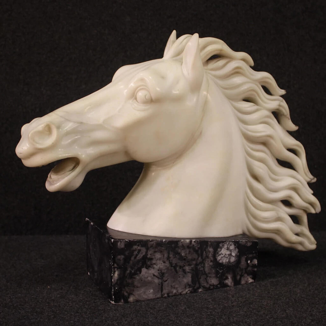 Horse head, white marble sculpture on black marble base 11