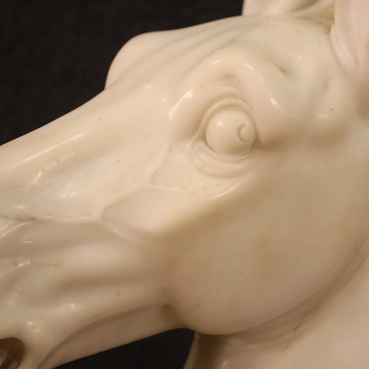 Horse head, white marble sculpture on black marble base 12