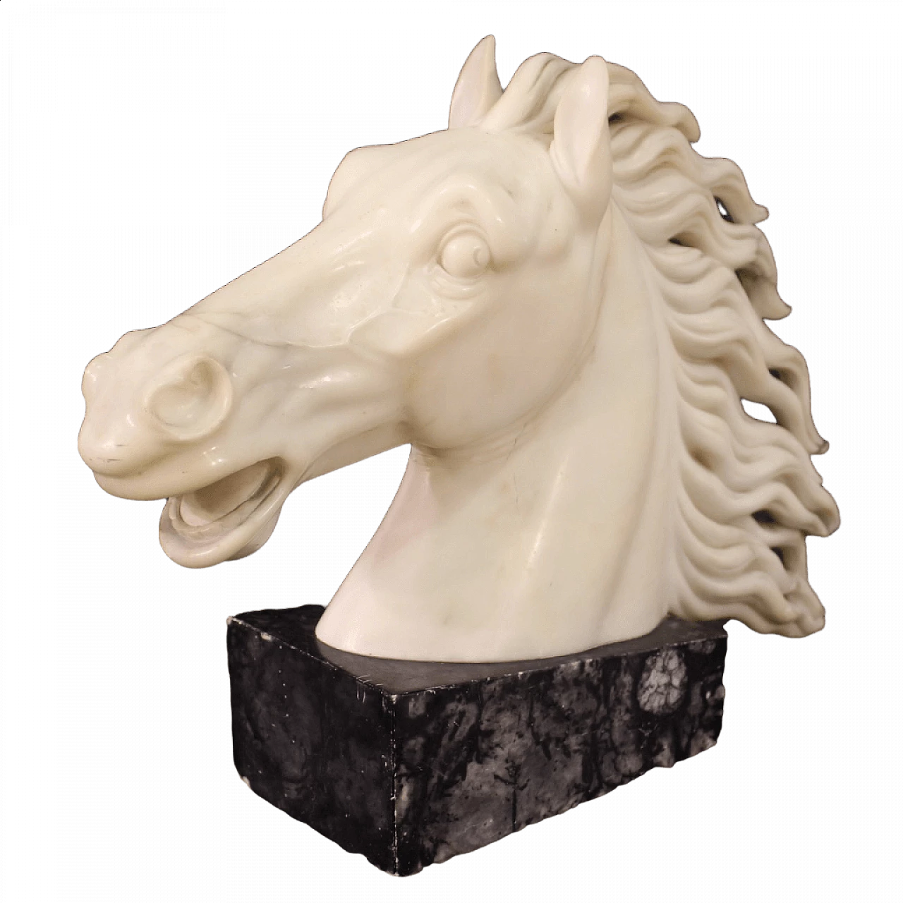 Horse head, white marble sculpture on black marble base 13