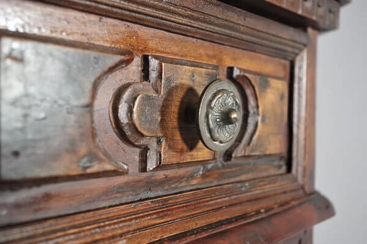 Umbertino corner cabinet in walnut burl, 19th century 4