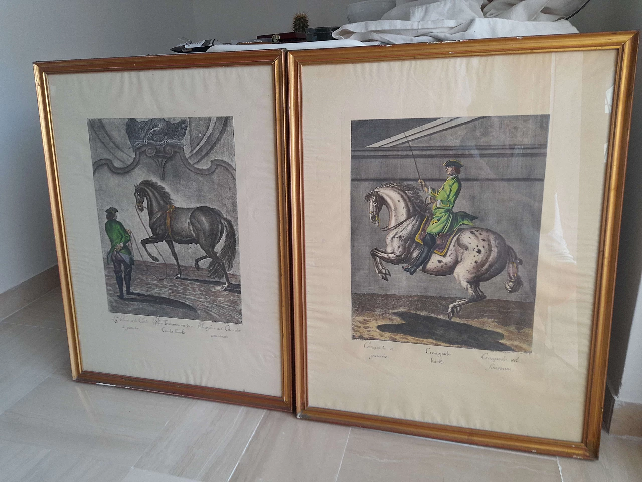 Coppia di litografie equestri, inizio '900 1