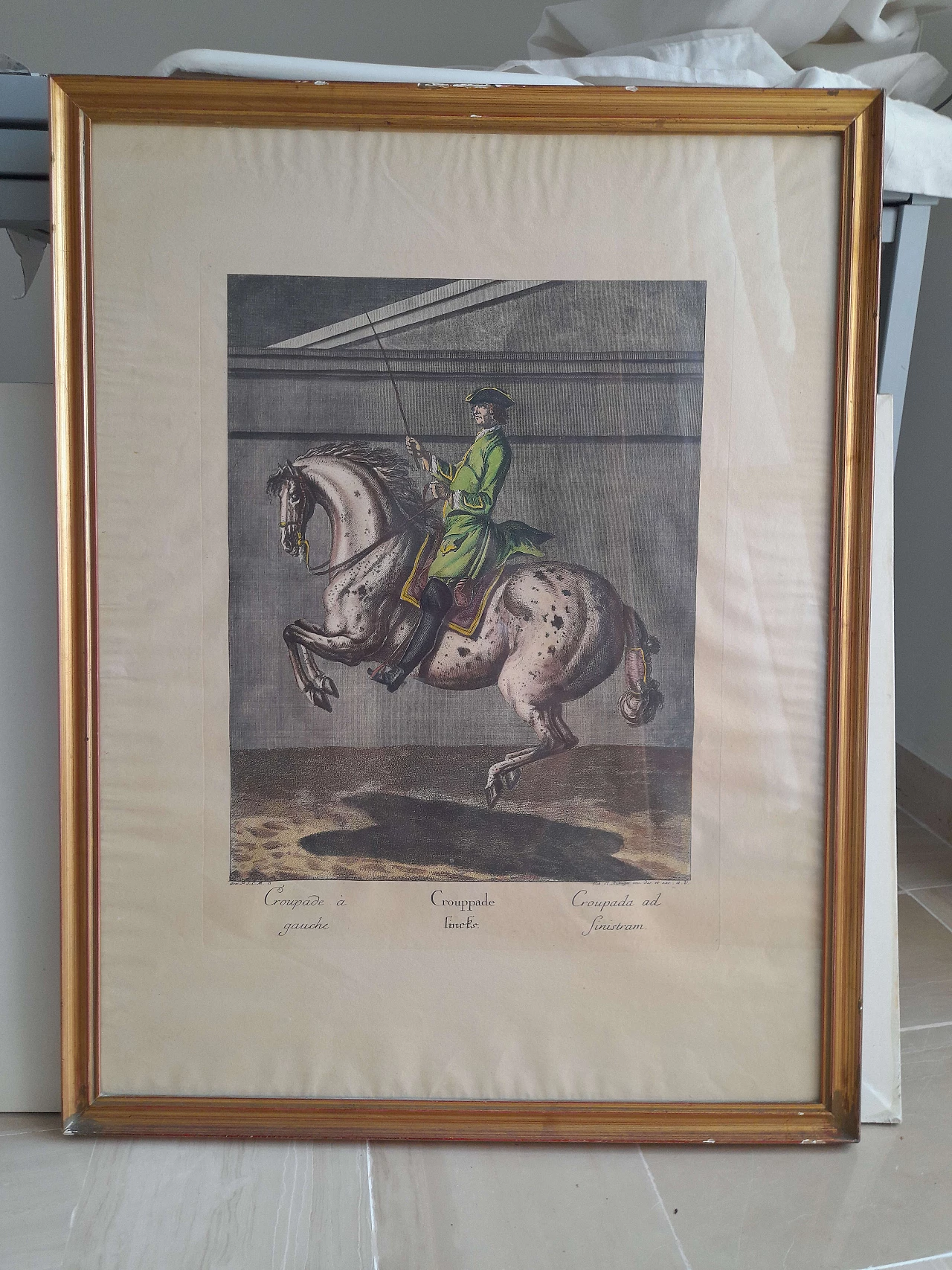 Coppia di litografie equestri, inizio '900 2