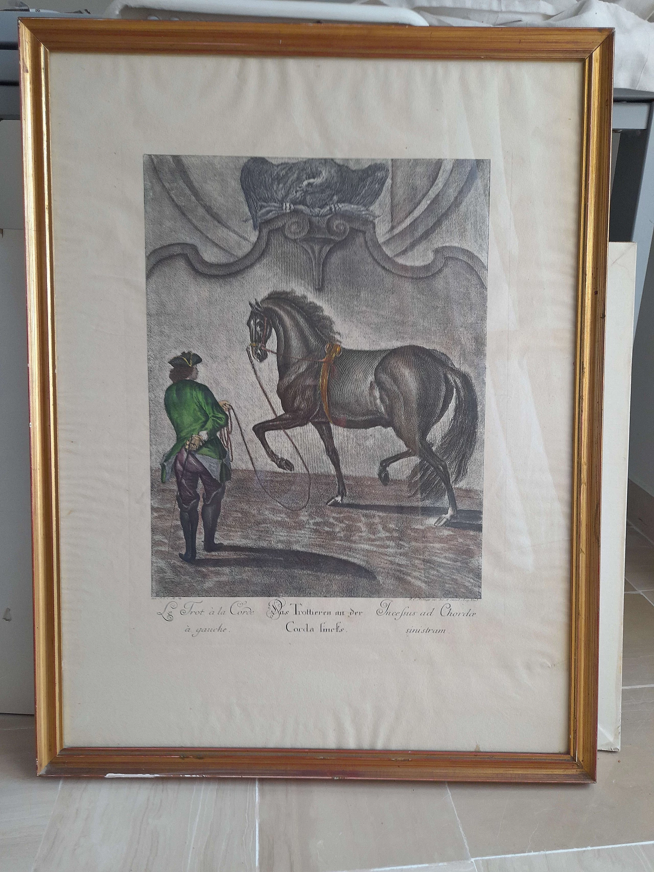 Coppia di litografie equestri, inizio '900 3