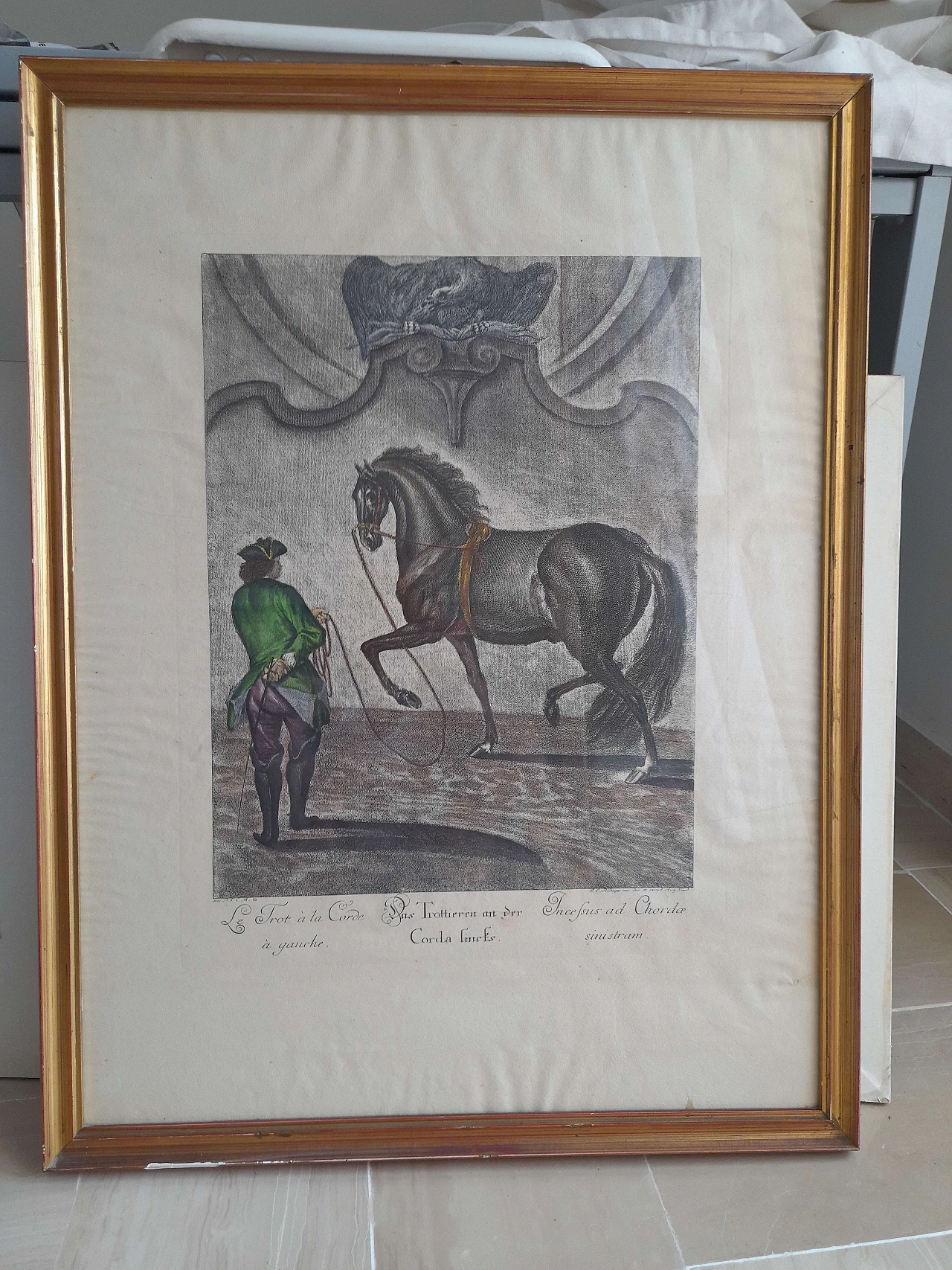 Coppia di litografie equestri, inizio '900 4