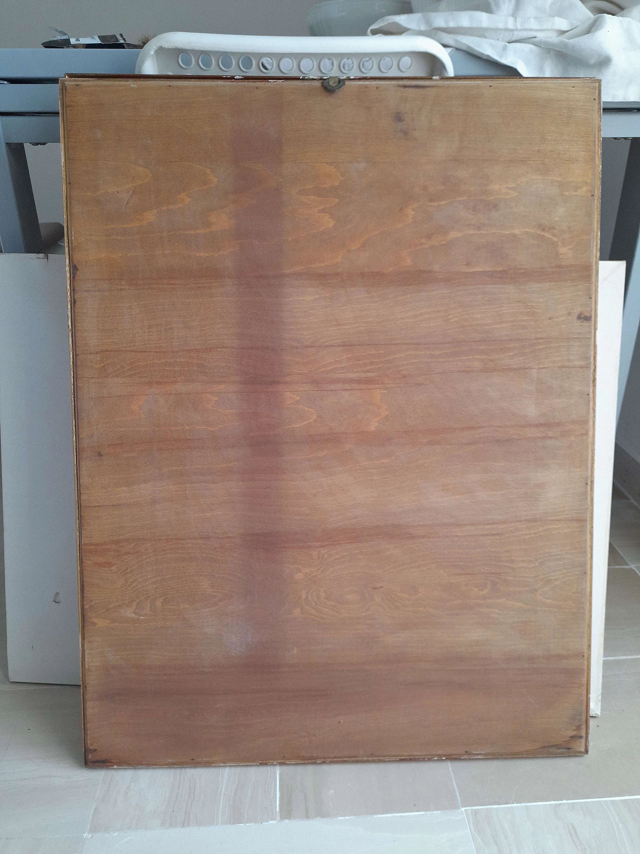 Coppia di litografie equestri, inizio '900 5