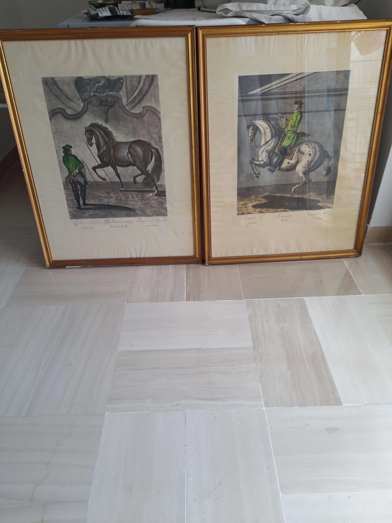 Coppia di litografie equestri, inizio '900 6