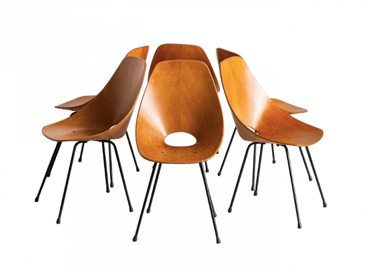 6 Medea chairs in wooden by Vittorio Nobili for Tagliabue, 1956 1