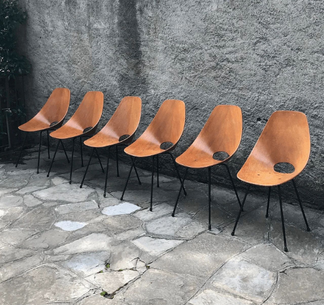 6 Medea chairs in wooden by Vittorio Nobili for Tagliabue, 1956 5