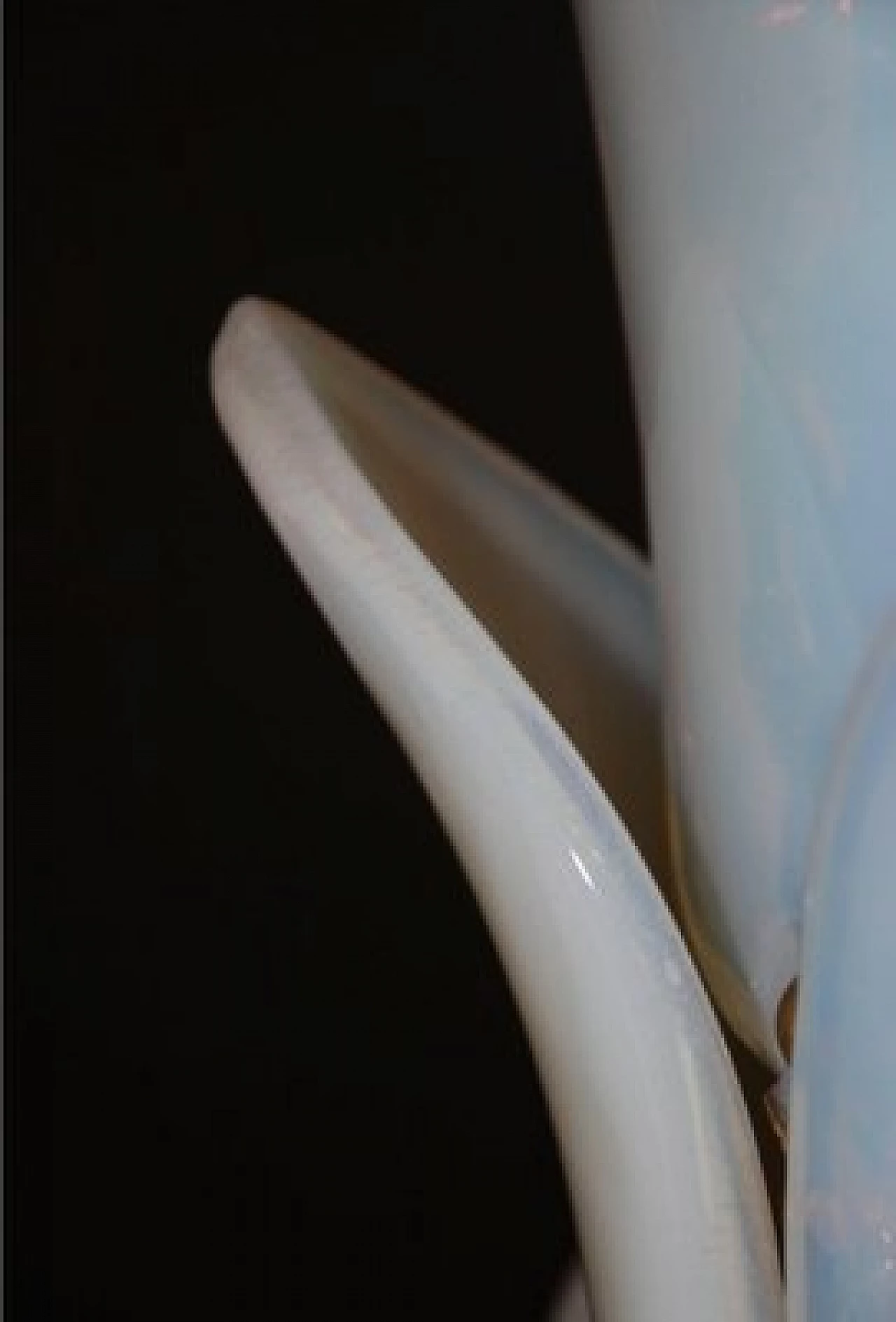 Lampada a forma di palma in ottone e vetro di Murano 12