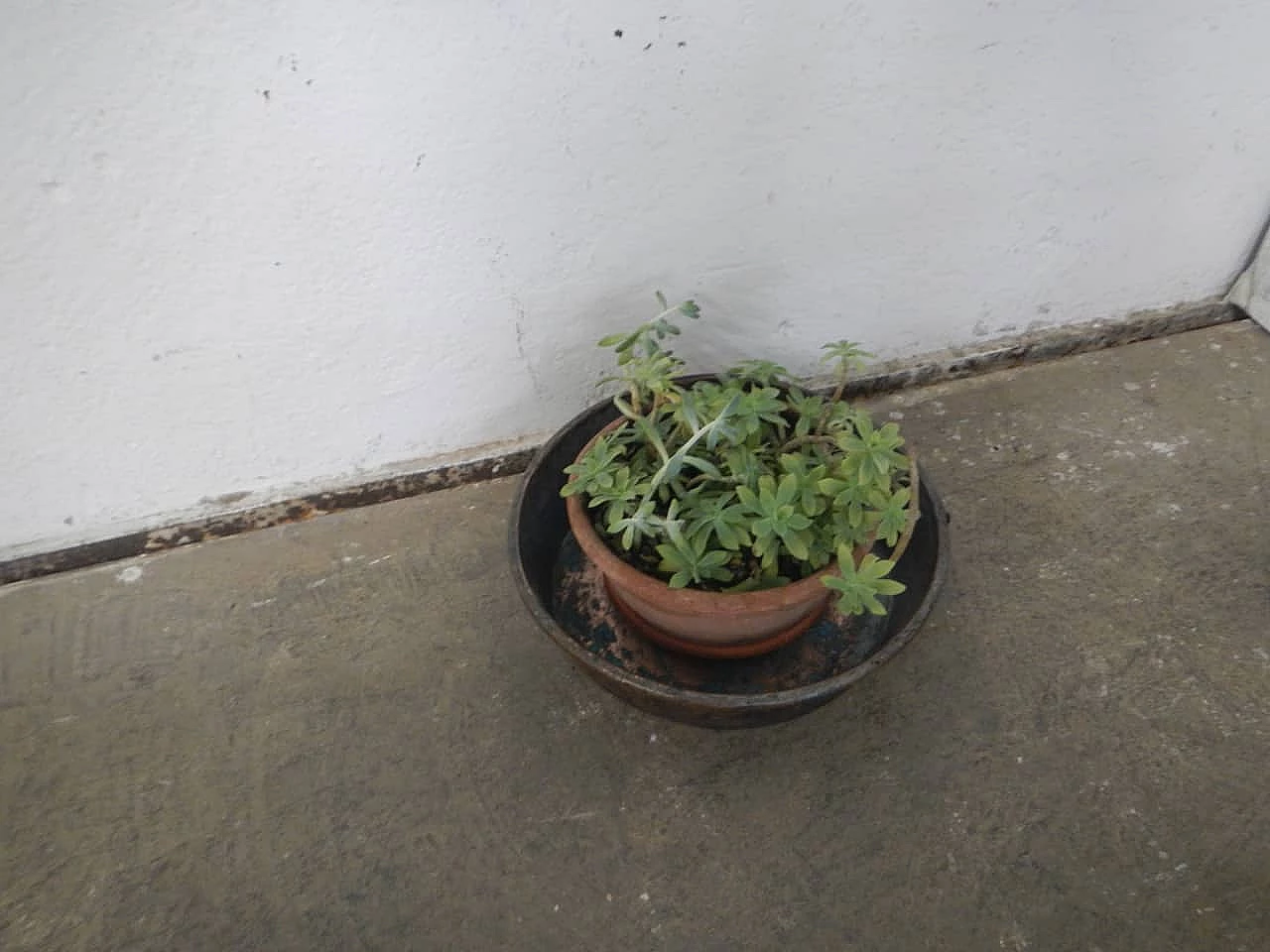 Copper bowl, 1940s 1