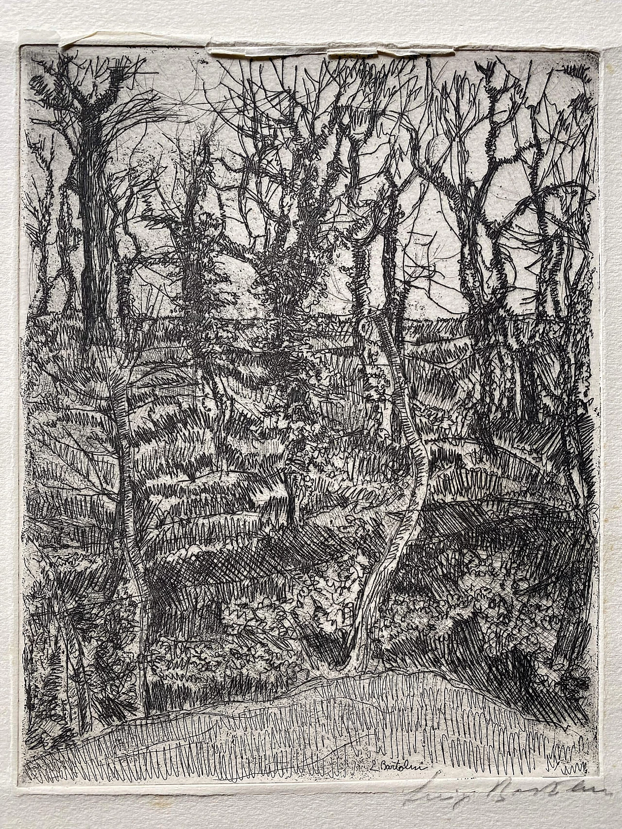 Luigi Bartolini, Ceduo Forest, etching, 1940s 1