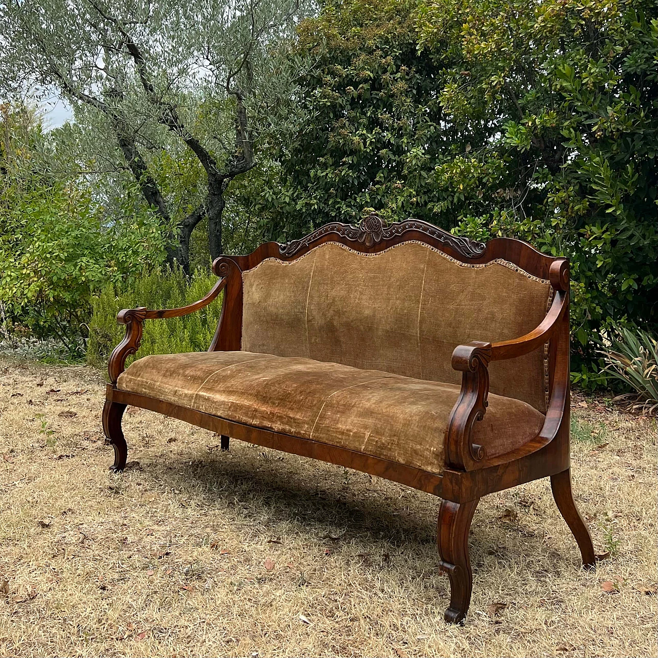 Divano in stile Carlo X in noce, '800 1252759