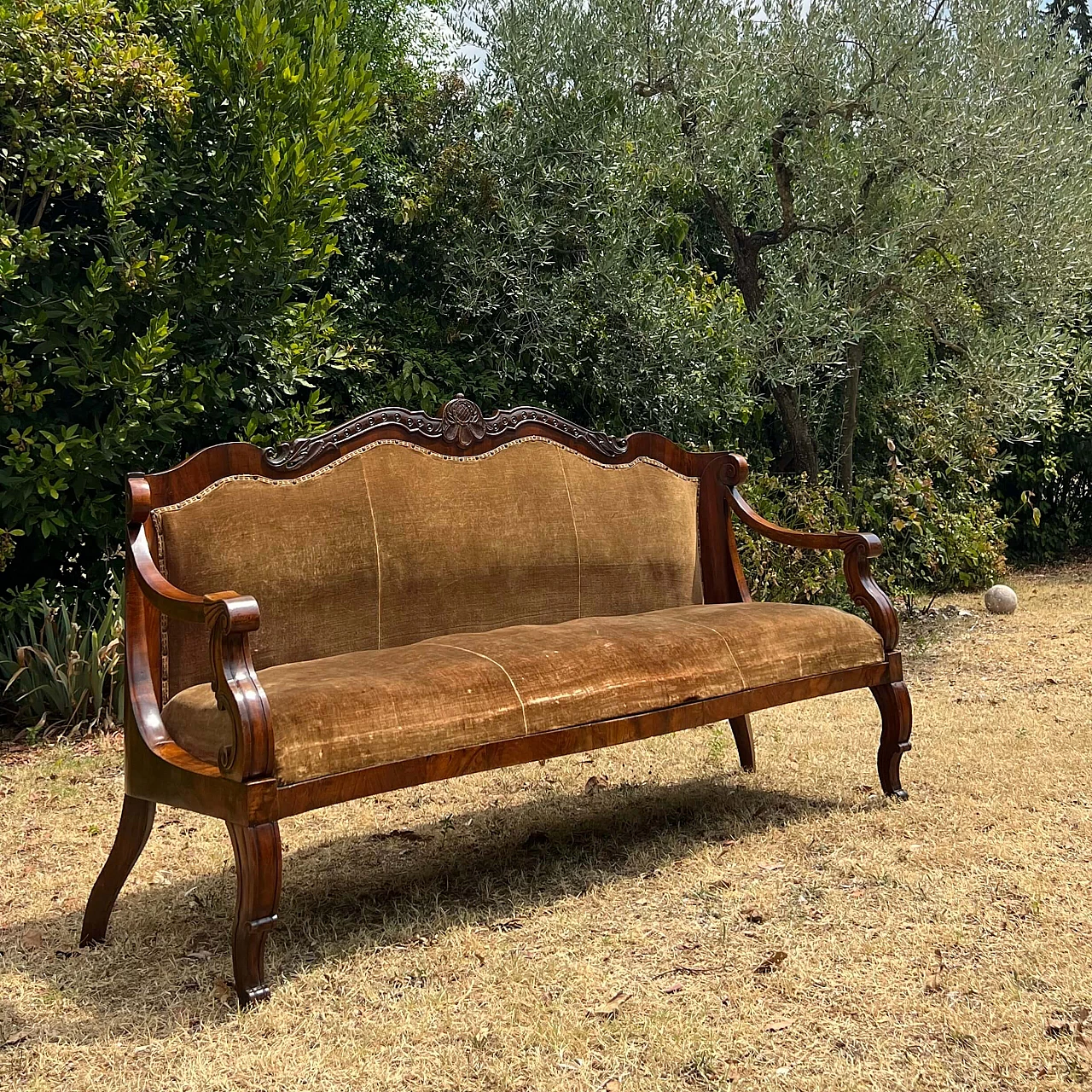 Divano in stile Carlo X in noce, '800 1252761