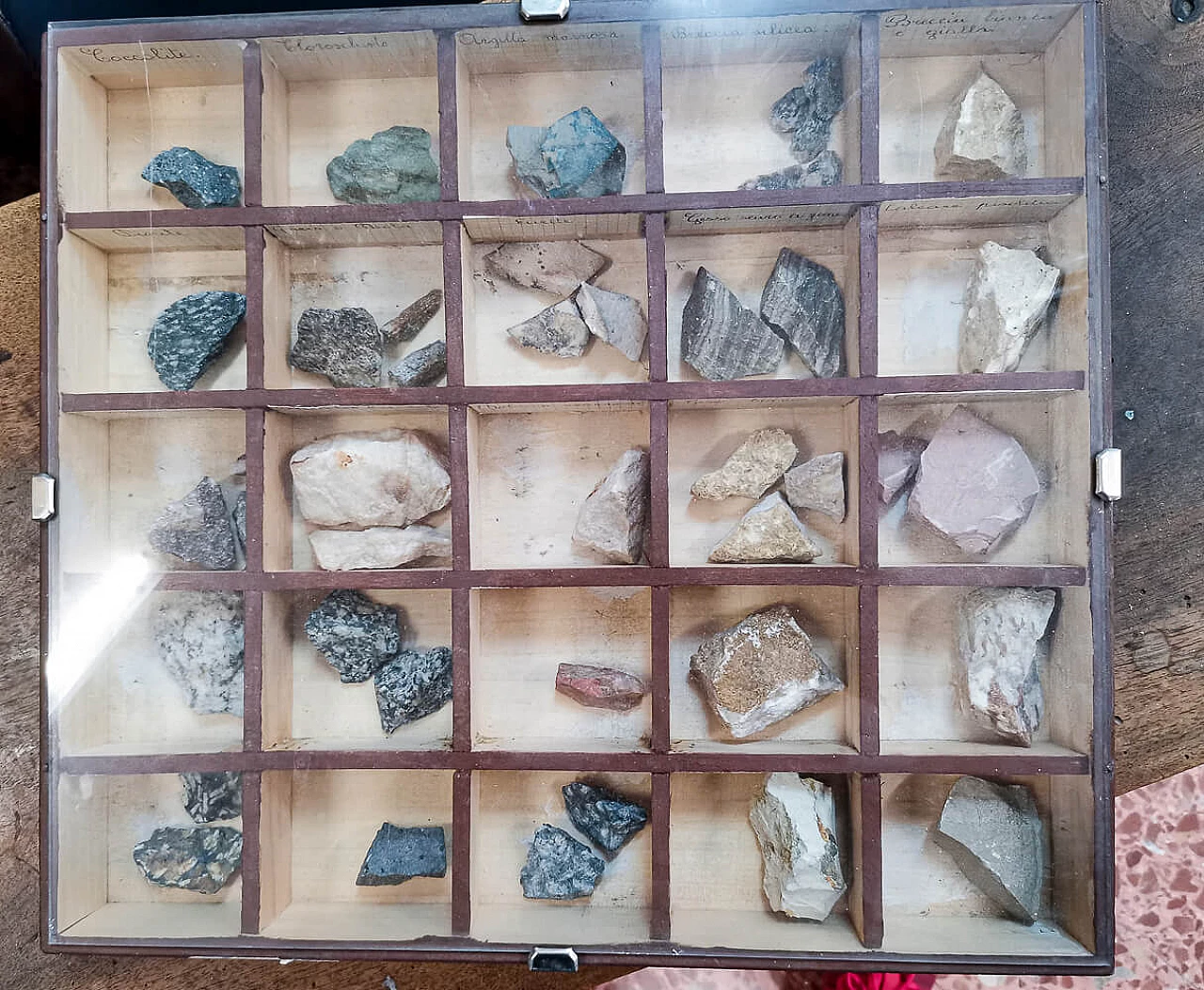 4 School display cabinets with minerals, early 20th century 2