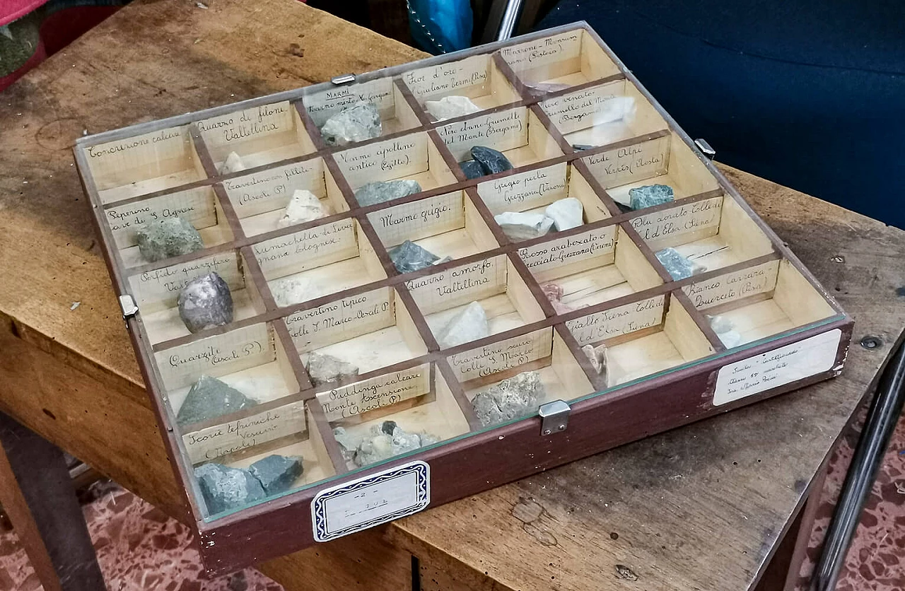 4 School display cabinets with minerals, early 20th century 7