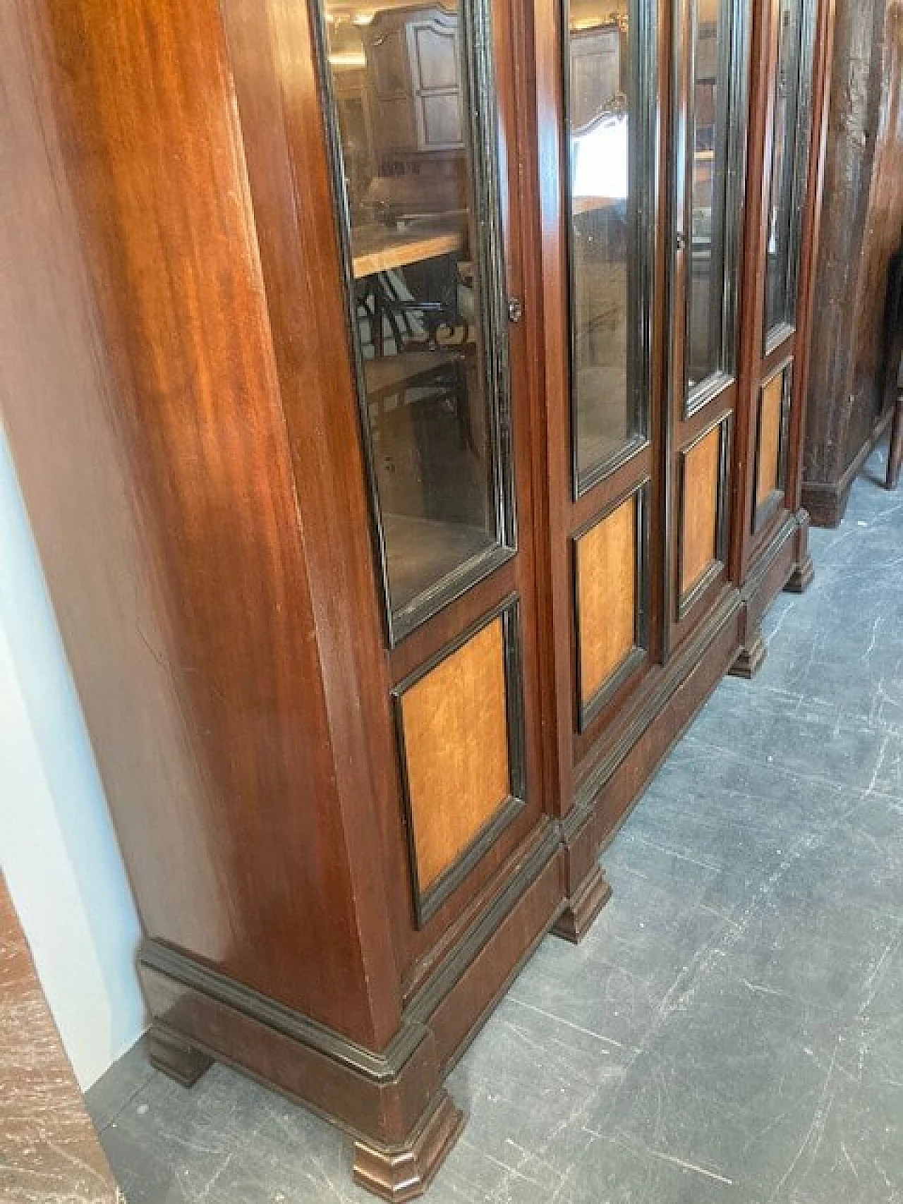 Rosewood and birch bookcase, 19th century 4