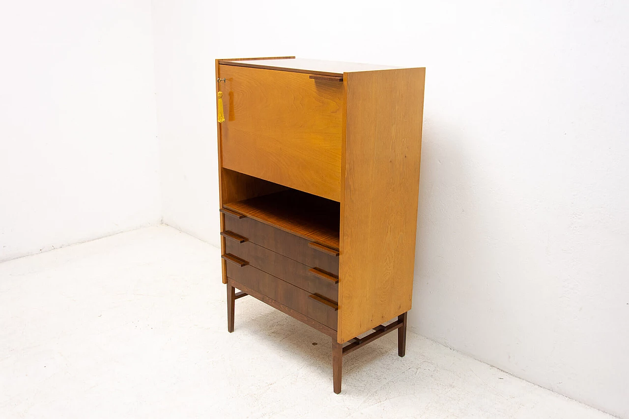 Bar cabinet by František Mezulánik for ÚP Závody, 1970s 2