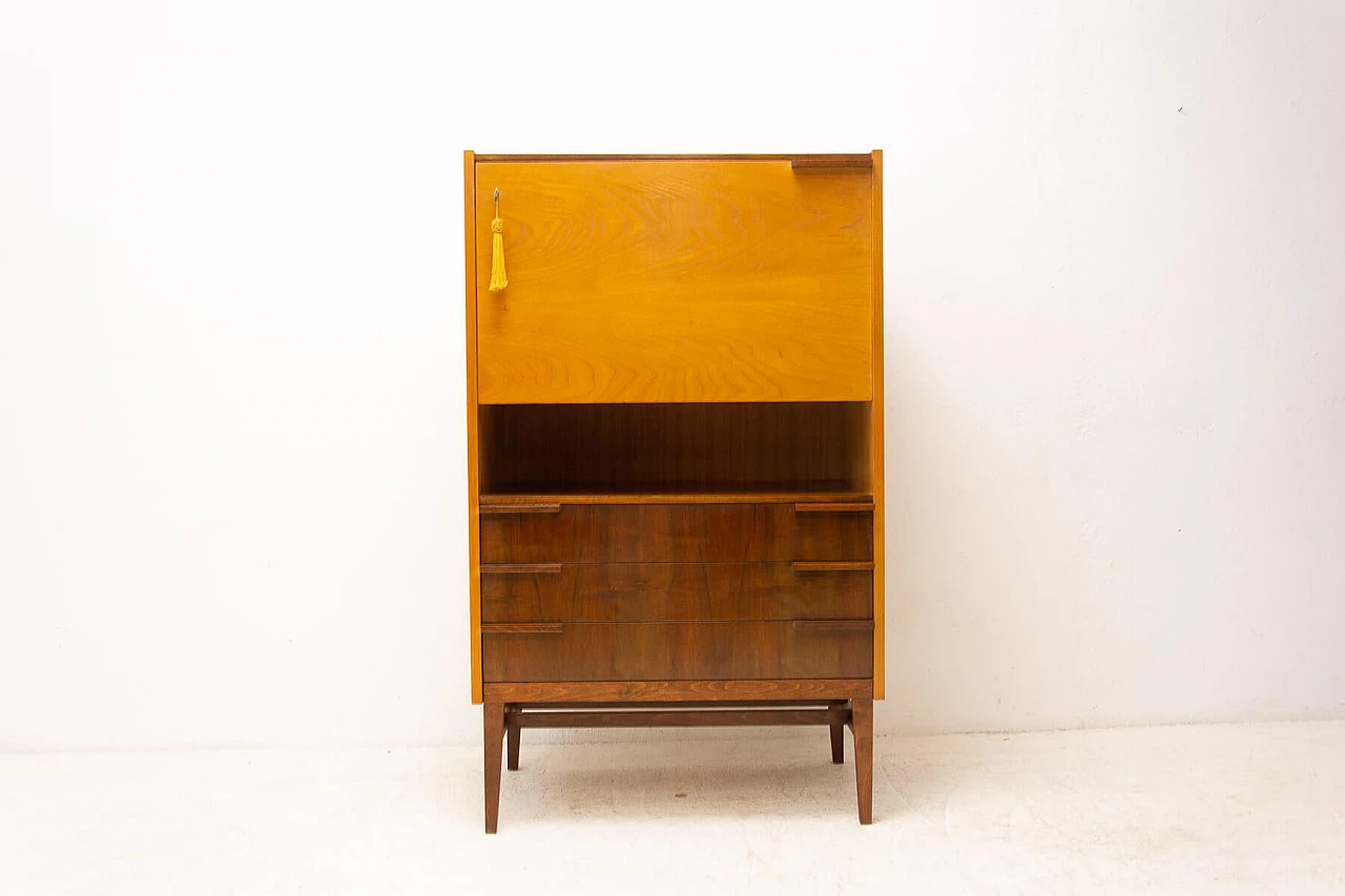 Bar cabinet by František Mezulánik for ÚP Závody, 1970s 19