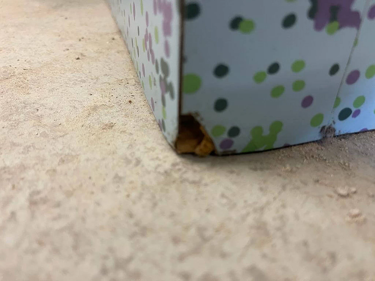 Mobile contenitore FOR 540 di Paola Navone per Studio Alchimia, anni '80 6