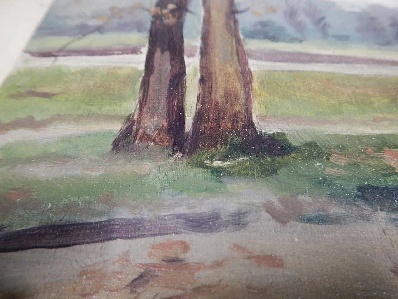 Des Champs, alberi, dipinto su legno, inizio '900 4