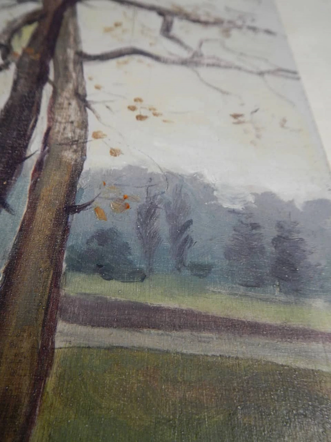 Des Champs, alberi, dipinto su legno, inizio '900 5