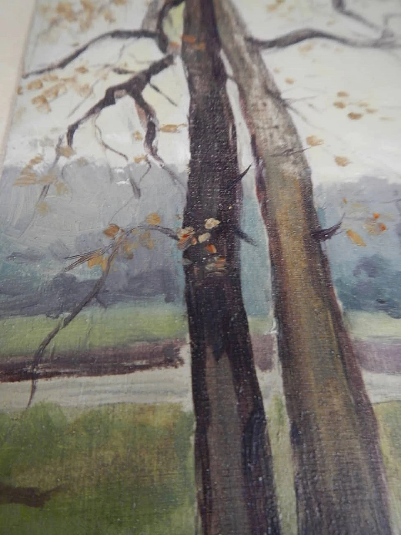Des Champs, trees, painting on wood, early 20th century 7