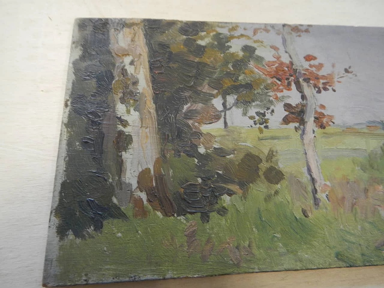 Des Champs, paesaggio di campagna, dipinto su legno, inizio '900 5