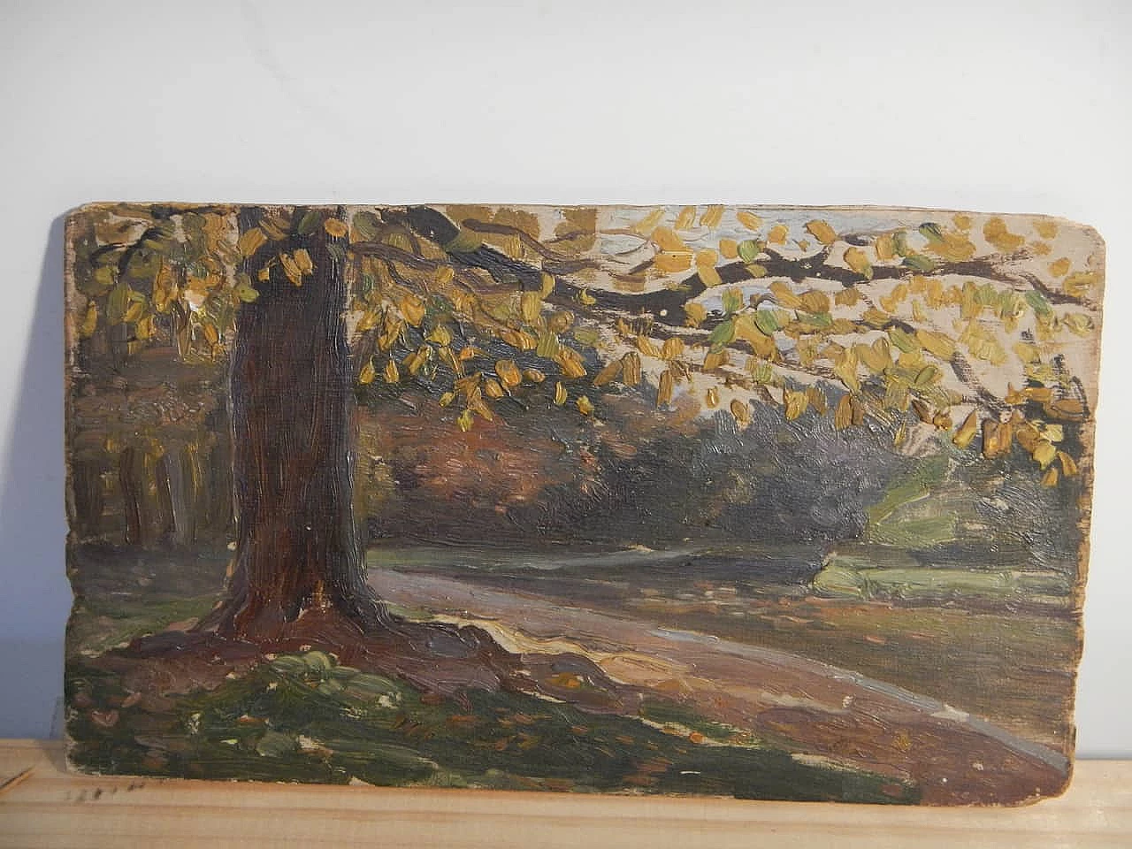 Des Champs, tree trunk, painting on wood, early 20th century 7