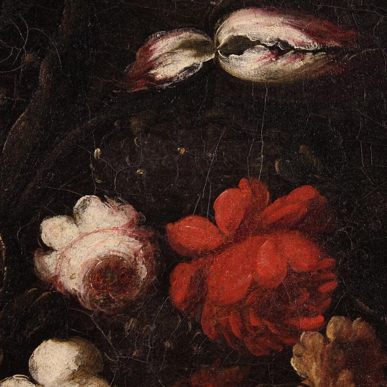 Natura morta con fiori rossi e bianchi, olio su tela, inizio '700 10